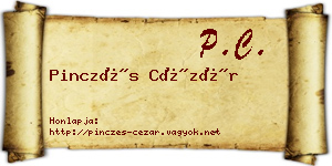 Pinczés Cézár névjegykártya